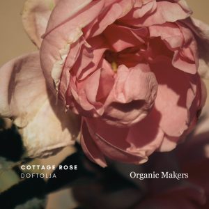 Cottage Rose Doftolja